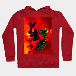 Piscis Hoodie